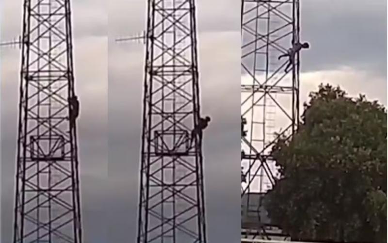 Homem cai de torre telefônica ao ser atacado por abelhas em Maracás