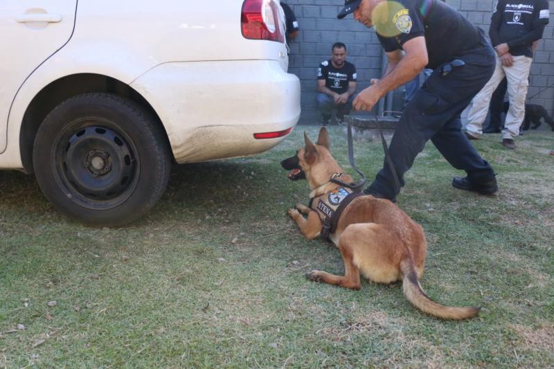 Seminário de Cães de Detecção reune forças estaduais, federais e municipais