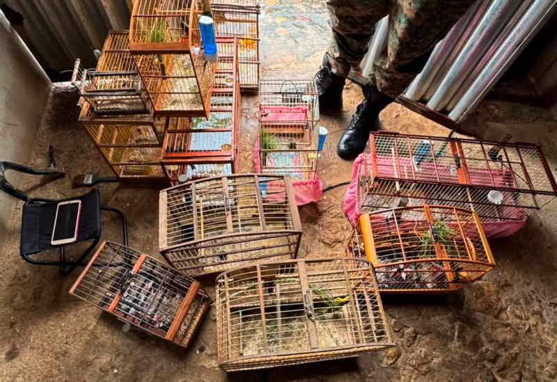 CIPPA/LENÇÓIS INTENSIFICA AÇÕES AMBIENTAIS EM NOVA REDENÇÃO E IBICOARA