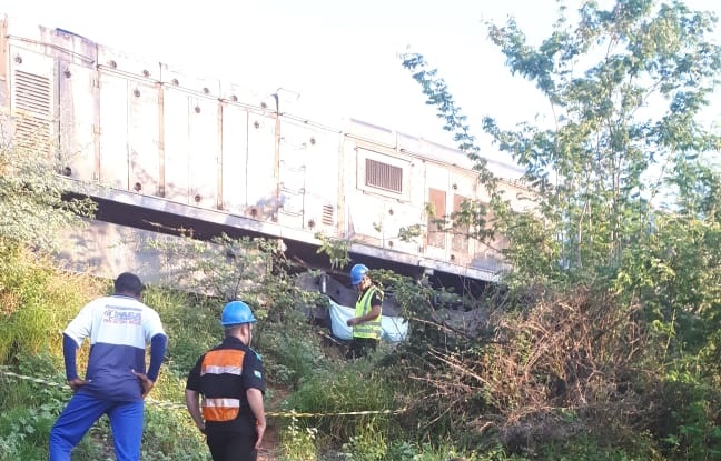Jovem de 18 morre atropelado por trem após dormir na linha em Malhada de Pedras