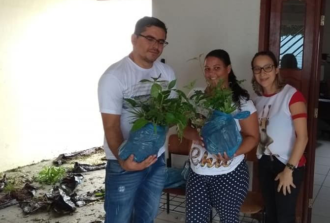 Prefeitura de Malhada de Pedras entrega mudas de árvores frutíferas e essências florestais a agricultores
