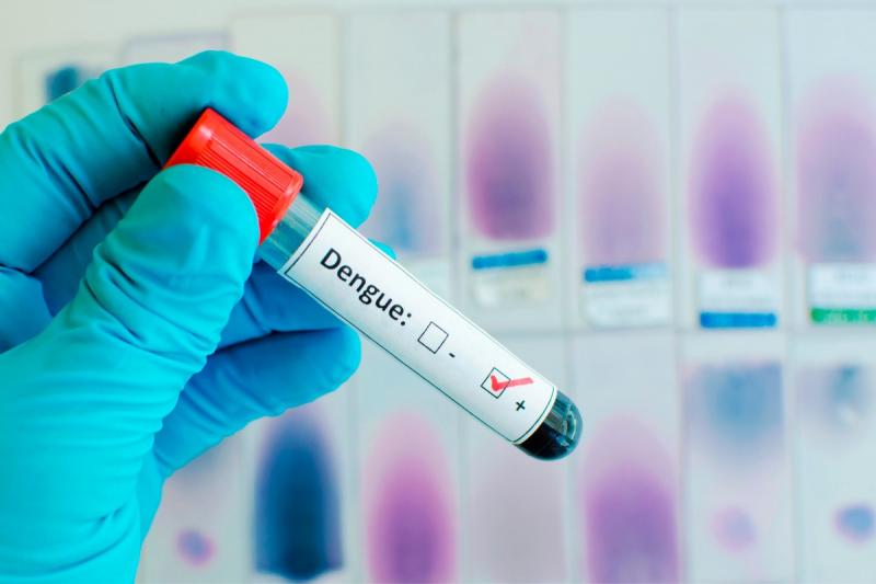 Risco de morte por dengue é 8 vezes maior em idosos; veja cuidados que devem ser adotados