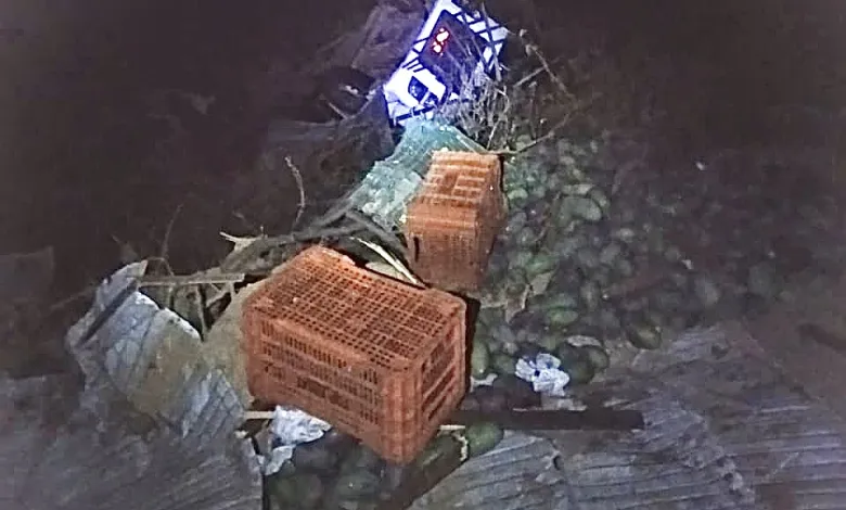 Caminhão carregado com mangas tomba após perder freios na BA-148 entre Livramento e Rio de Contas 