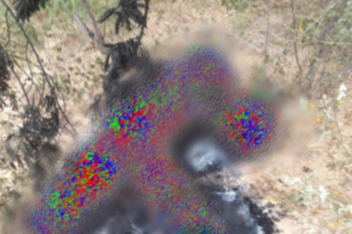 Aracatu: Corpo de jovem é encontrado carbonizado na zona rural