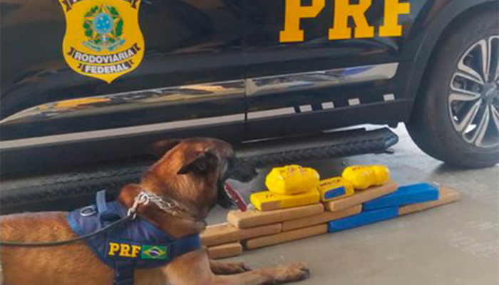 Menor de 14 anos é apreendido com 10 Kg de maconha durante abordagem a ônibus interestadual em Vitória da Conquista