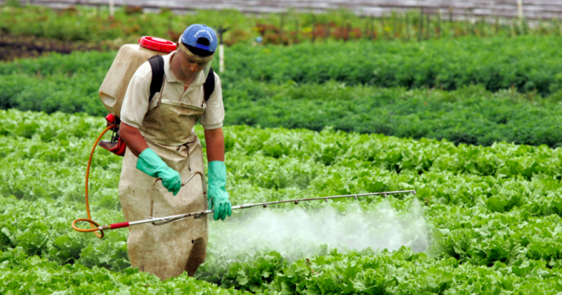 Lula sanciona com vetos Projeto de Lei dos Agrotóxicos
