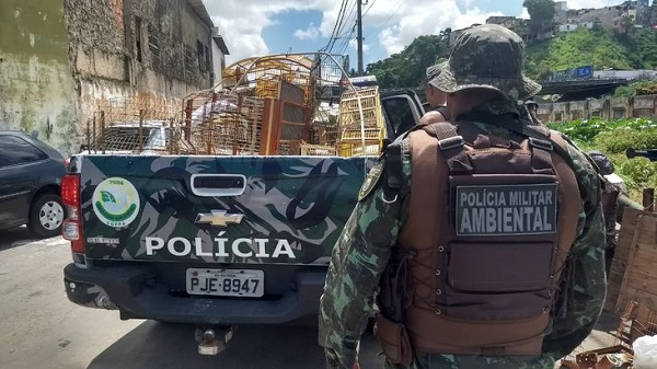 ‘Operação Feira Livre’ flagra 11 pessoas em comércio ilegal de animais na Bahia