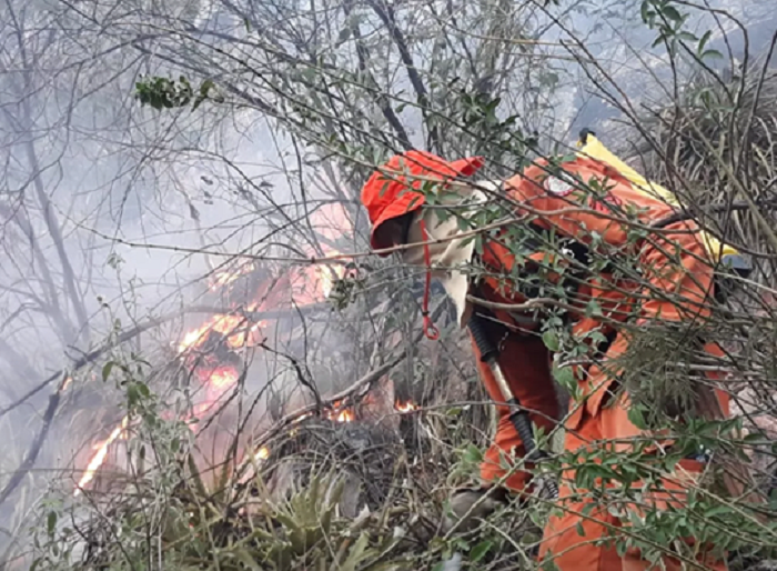 Incêndio de grandes proporções atinge área de vegetação entre Rio de Contas e Livramento