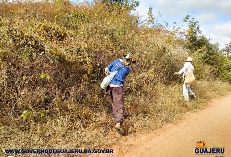 Além dos patrolamentos, prefeitura de Guajeru realiza roçagens nas estradas vicinais do município 