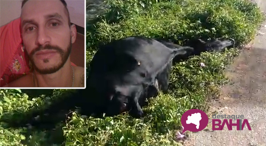 Jovem de Rio do Antônio perde a vida após colidir moto com animal na pista; demora no socorro pode ter colaborado