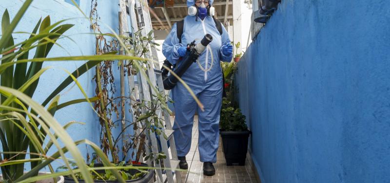 Brasil registra 6,1 milhões de casos e 4,2 mil mortes por dengue