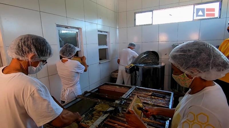 Cooperativa da agricultura familiar de Ibotirama aumenta faturamento em 40% com produção de mel