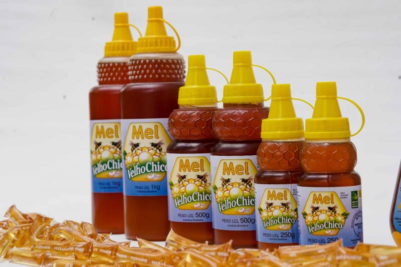 Cooperativa da agricultura familiar de Ibotirama aumenta faturamento em 40% com produção de mel