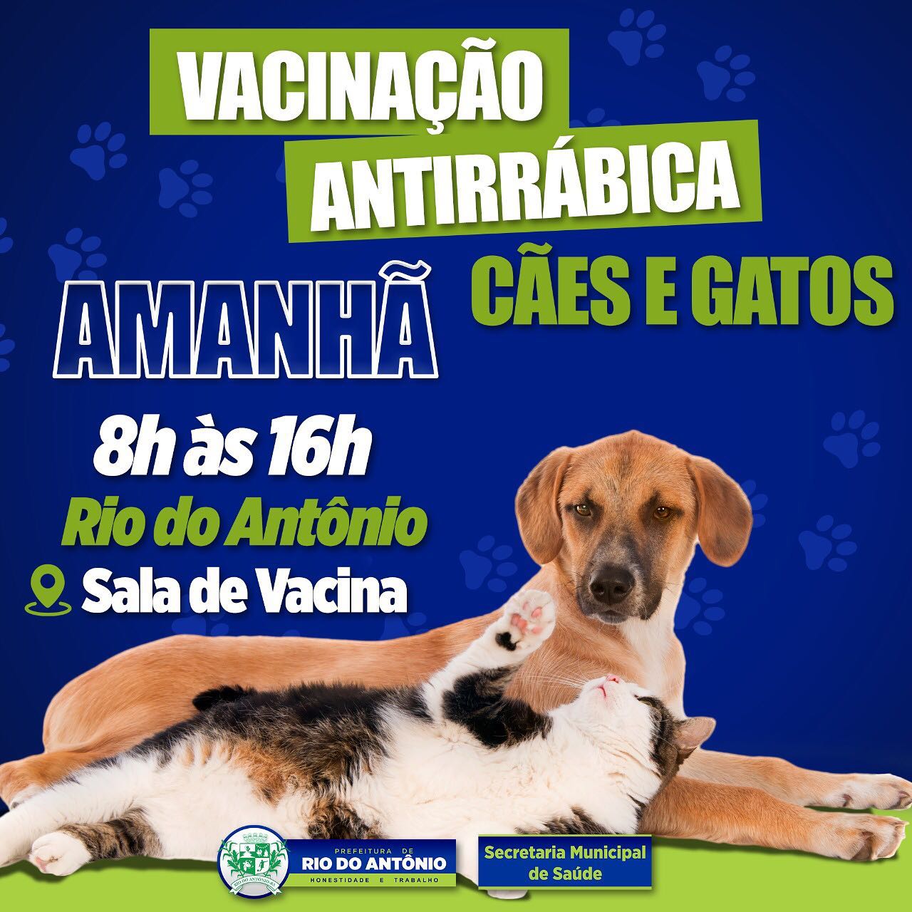 Vacinação Antirrábica acontecerá nesta terça-feira em Rio do Antônio