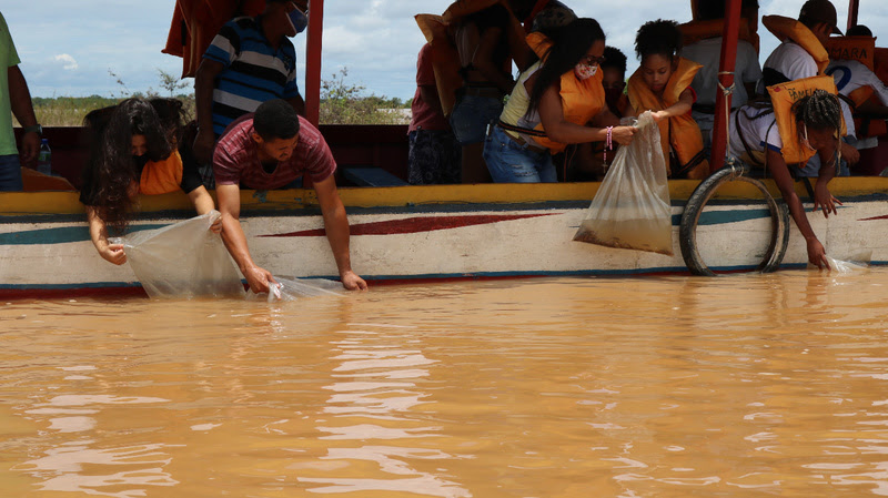 Codevasf realiza peixamento com 60 mil alevinos no rio São Francisco, em Bom Jesus da Lapa (BA)