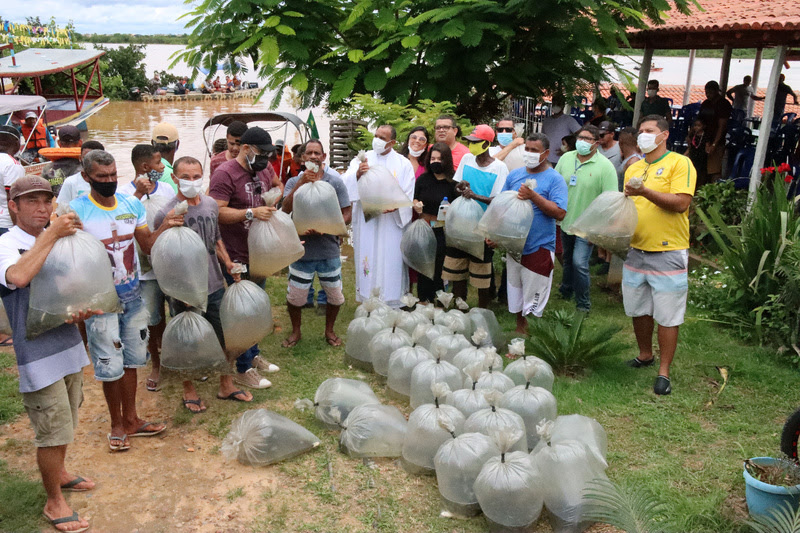 Codevasf realiza peixamento com 60 mil alevinos no rio São Francisco, em Bom Jesus da Lapa (BA)
