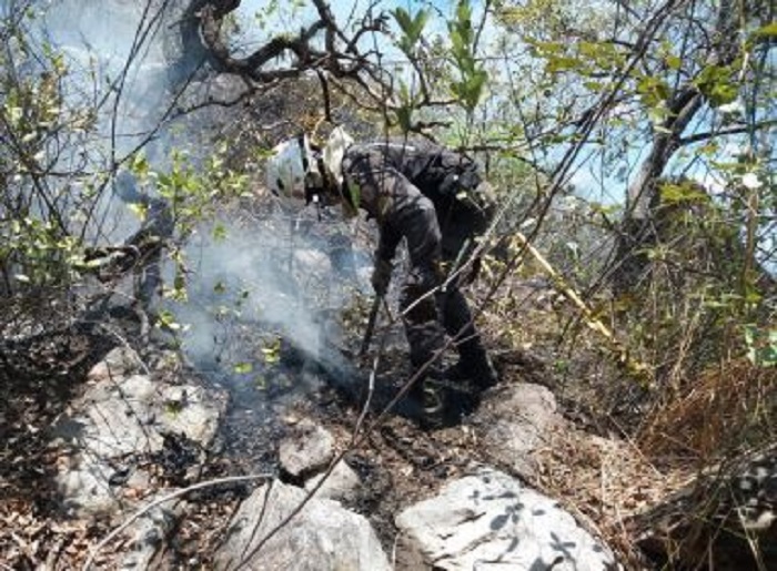 Rio de Contas: Fogo é controlado parcialmente na Serra das Almas