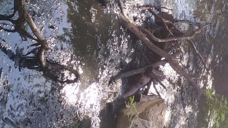 Corpo em estado de decomposição é encontrado em riacho em Brumado, havia pedras dentro das roupas