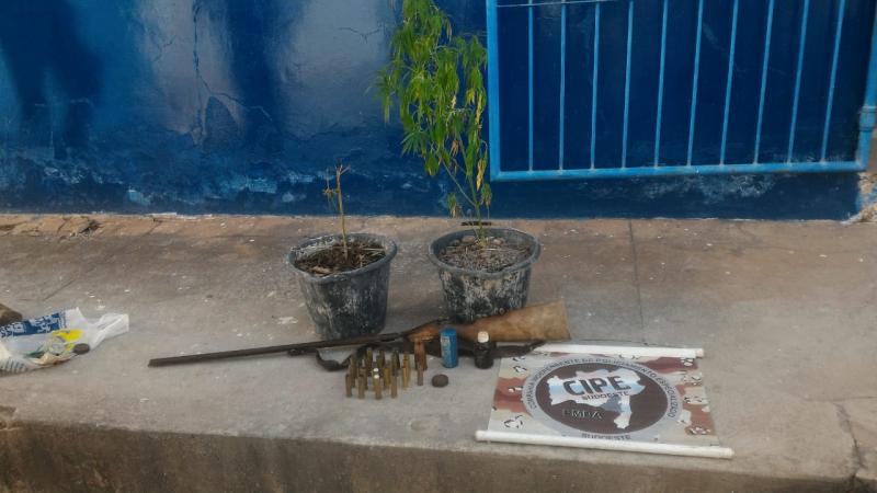 Cipe Sudoeste apreende pés de maconha e arma na zona rural de Barra da Estiva