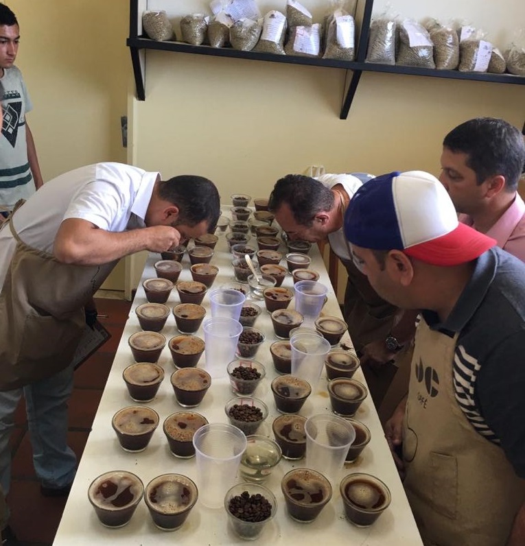 Agricultores da Chapada Diamantina se destacam em I fase do Concurso de Cafés Especiais 