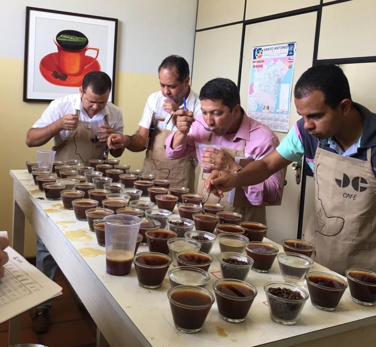 Agricultores da Chapada Diamantina se destacam em I fase do Concurso de Cafés Especiais 