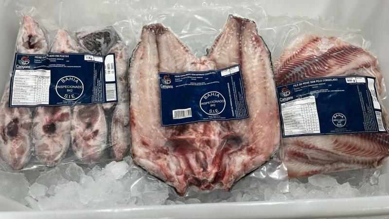 Bahia fortalece produção de peixe para a Semana Santa com novas agroindústrias