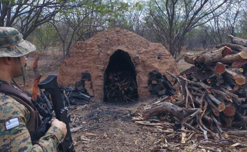Fornos e carvão produzidas com madeira irregular são apreendidos em Riacho de Santana