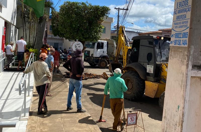 População se revolta com retiradas de árvores em Malhada de Pedras, mas prefeito justifica