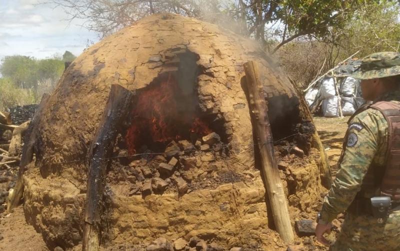 Policia Ambiental e Inema apreendem toneladas de carvão e destroem forno no Sudoeste baiano