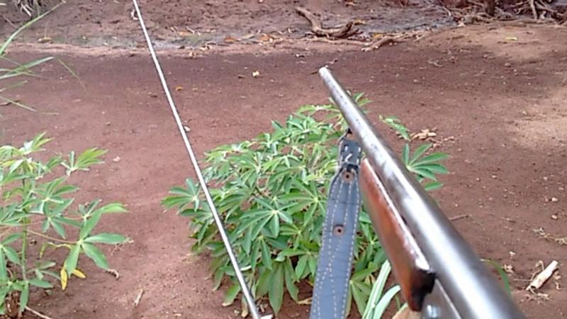 Homem mata o próprio irmão na Chapada Diamantina