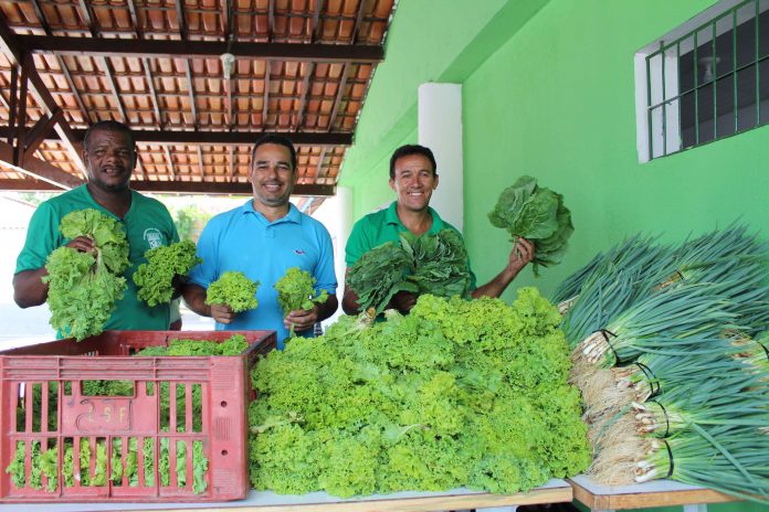 Nova execução do PAA vai beneficiar 75 novos municípios baianos