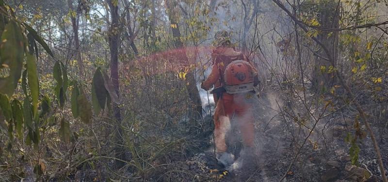 bombeiros militares eliminam incêndios florestais na Bahia