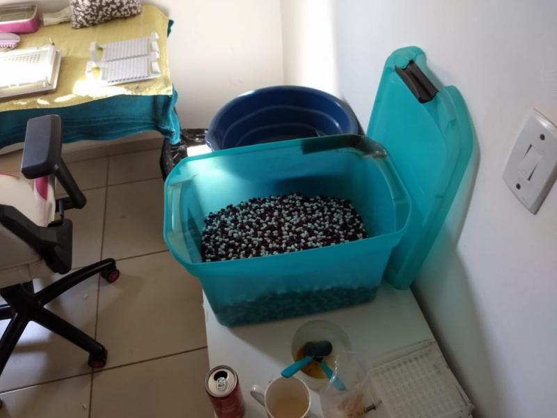 Polícia Federal age em Rio de Contas e Livramento de Nossa Senhora durante a Operação ‘Work Out’