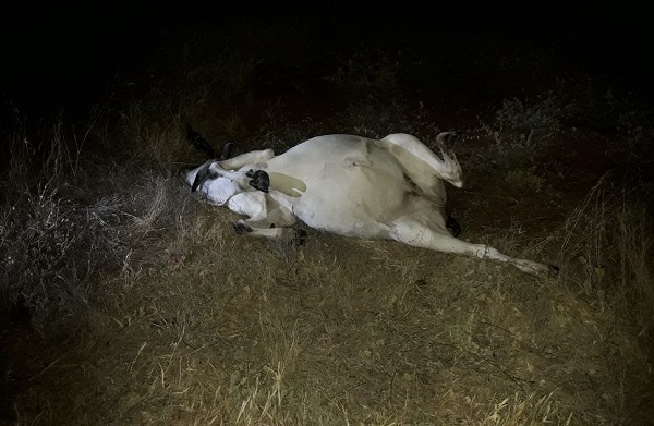 Brumadense sofre grave acidente na BA-148 trecho entre Livramento e Brumado