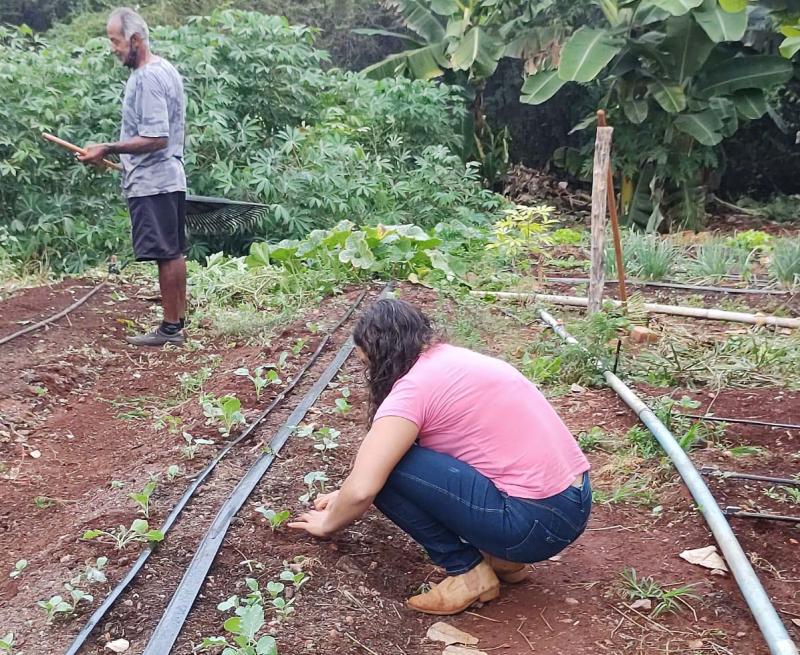 Tecnologia financiada pela RHI Magnesita muda a realidade de produtores rurais de Brumado