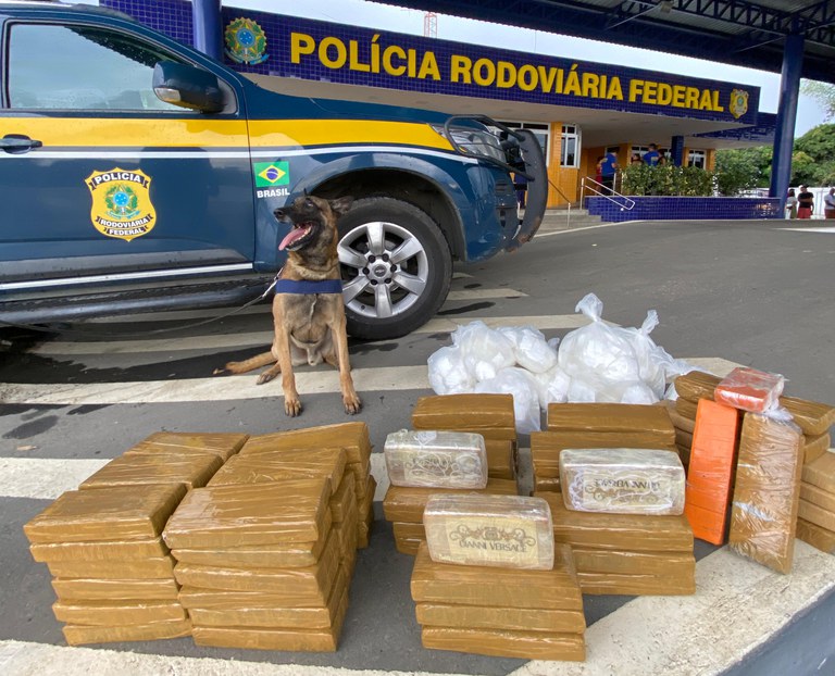 Maconha, cocaína e crack são apreendidos em Vitória da Conquista