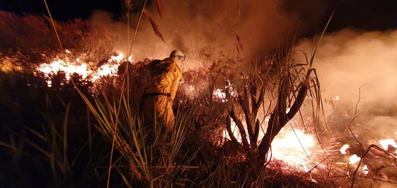 Chapada Diamantina: Incêndio atinge área florestal na cidade de Andaraí