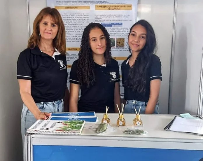 Jovens estudantes de Malhada de Pedras criam aromatizador natural que combate muriçocas