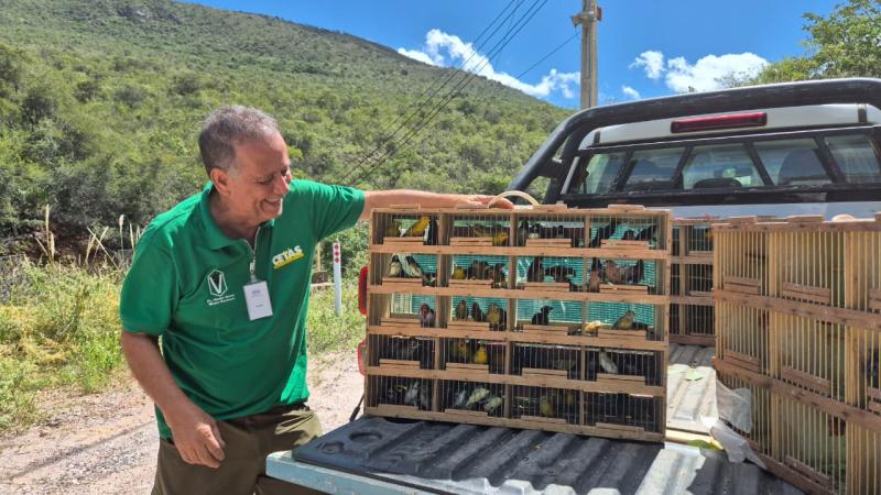 RHI Magnesita reforça compromisso com a biodiversidade em ação de soltura de animais silvestres na Serra das Éguas
