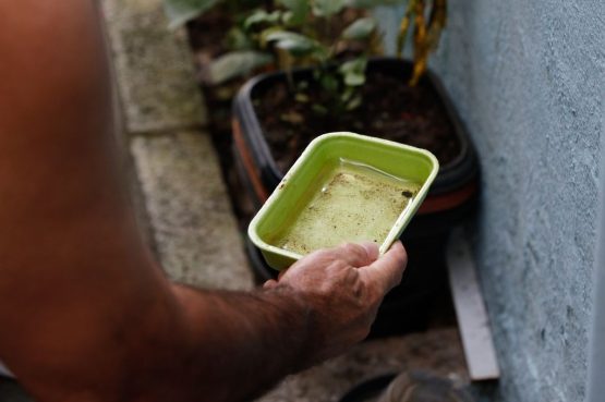 Vitória da Conquista segue no topo de casos prováveis de dengue na Bahia