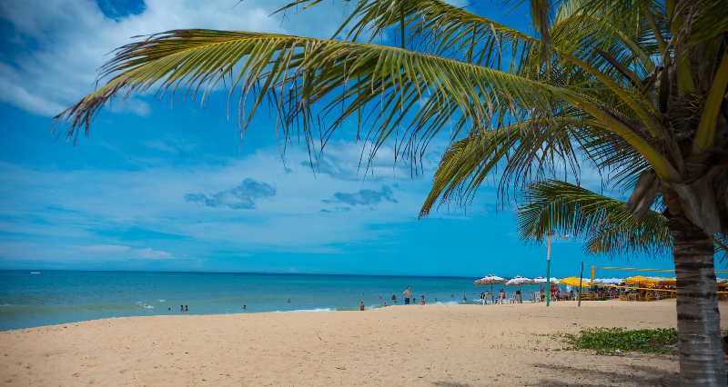 Prefeitura de Porto Seguro suspende decreto que libera realização de festas de fim de ano