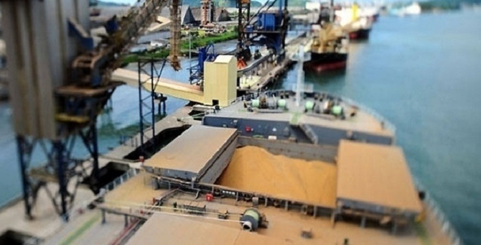 Associação eleva previsão de exportação de soja do Brasil em 2019 por disputa China-EUA