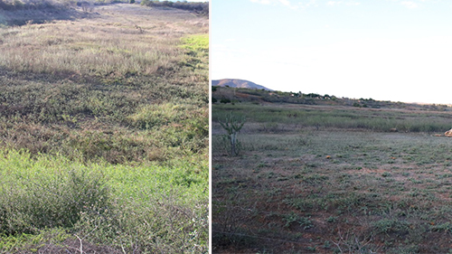 Seca castiga Rio do Antônio; adutora do Truvisto ainda é um sonho