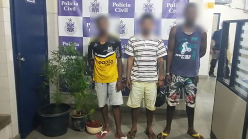 Três homens são detidos com mudas de maconha que seria vendidas em Malhada de Pedras