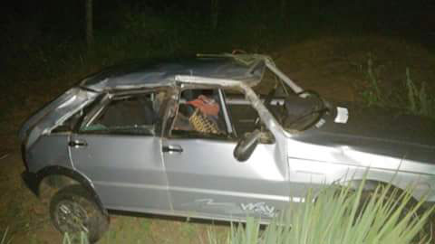 Animal na pista provoca capotamento na BA - 148 no município de Livramento