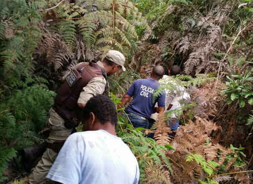 Polícia descobre plantação com mais de 1500 pés de maconha em Ibicoara, quatro pessoas foram presas