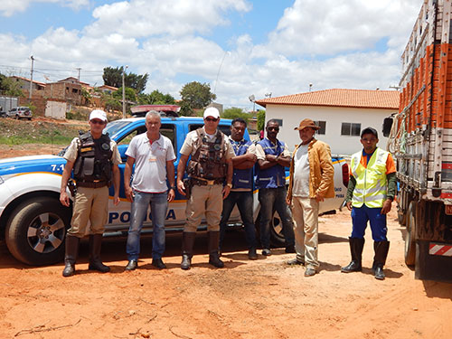 Prefeitura de Maetinga e PRE firmam parceria e animais são tirados de circulação da Ba - 623