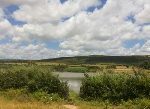 Homem é encontrado morto dentro de Lagoa na Zona Rural de Tanhaçu