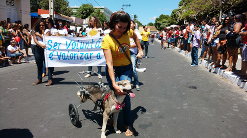 Ong AUAU sai em defesa dos animais no 7 de Setembro em Brumado
