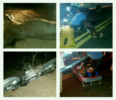 Animal na pista mais uma vez causa grave acidente na BA - 623, que liga Maetinga  a Jânio  Quadros